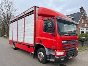 автофургон DAF CF 75.250 Handgeschakeld 575000 Orginal kilometer