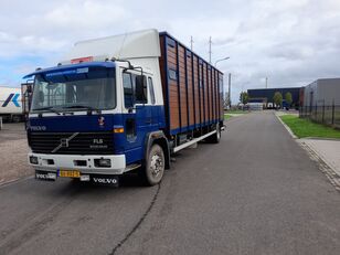 грузовик коневоз Volvo Fl615