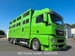 hobuseauto MAN TGX 26.480