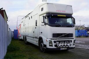 hobuseauto Volvo FH 400 6*2 Horse transport with room for 9 horses