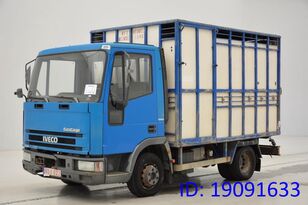 loomaveok veoauto IVECO 65E14