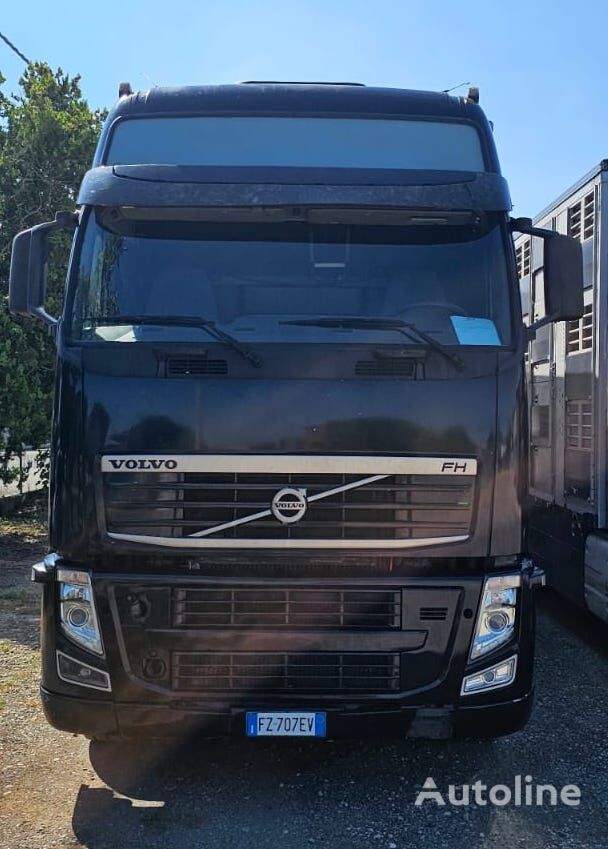 loomaveok veoauto Volvo FH 500